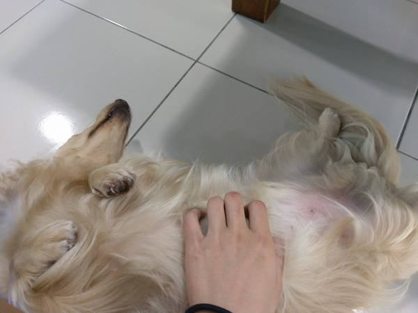 cm20170319___535ba1623520f4aa01cdba59ebc