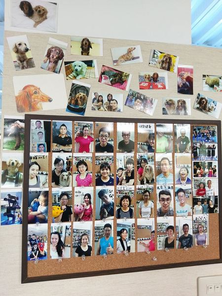 cm20170319___6b260450c99aeb4f95e0e45acd1