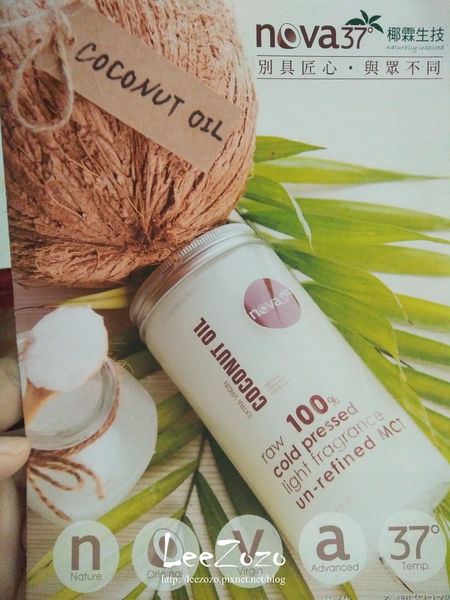 54032-1489373823-4042152951_n.jpg?v=1489394303