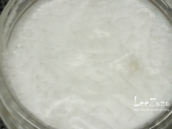 54032-1489373858-3115388724_n.jpg?v=1489394303