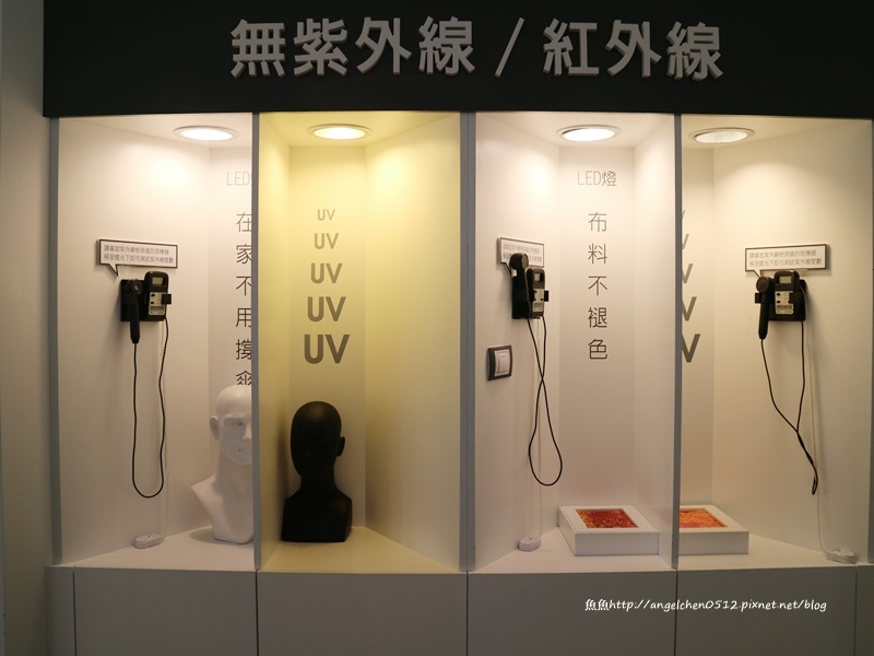 54386-1490325768-4169147665.jpg?v=1490325769