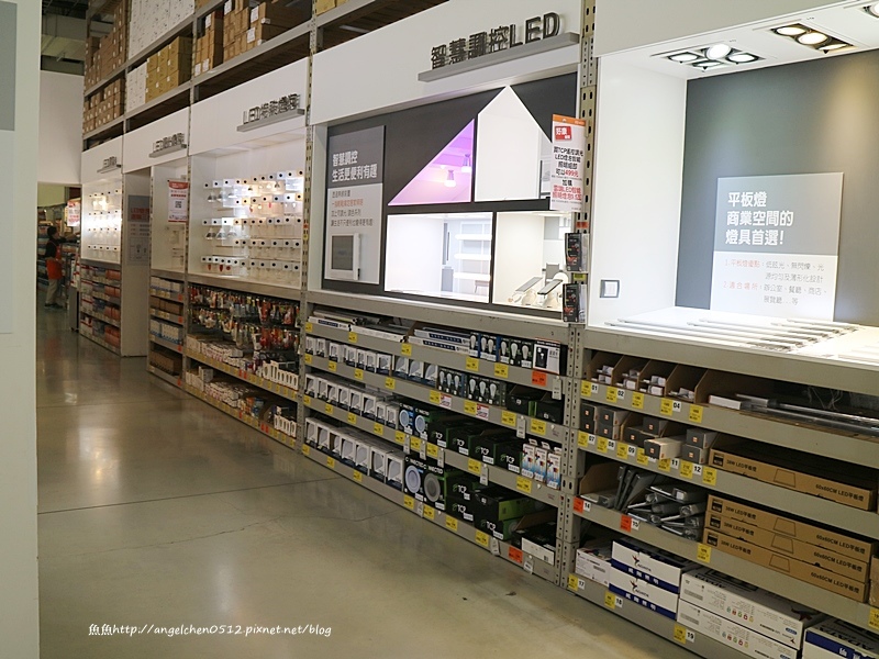 54386-1490408168-3157744680.jpg?v=1490408169