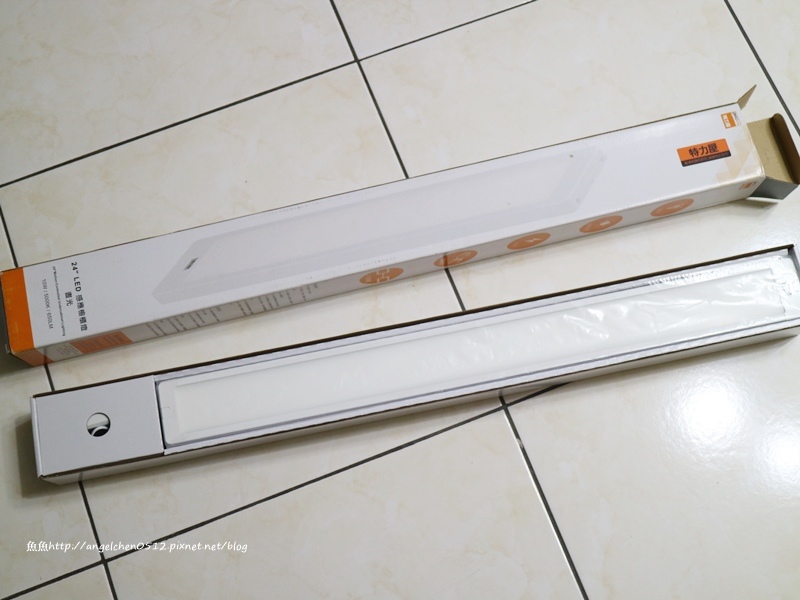 54386-1490411728-994979660.jpg?v=1490411729