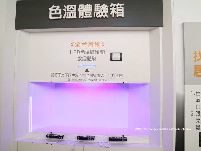 54386-1490329959-4075927520.jpg?v=1490329960