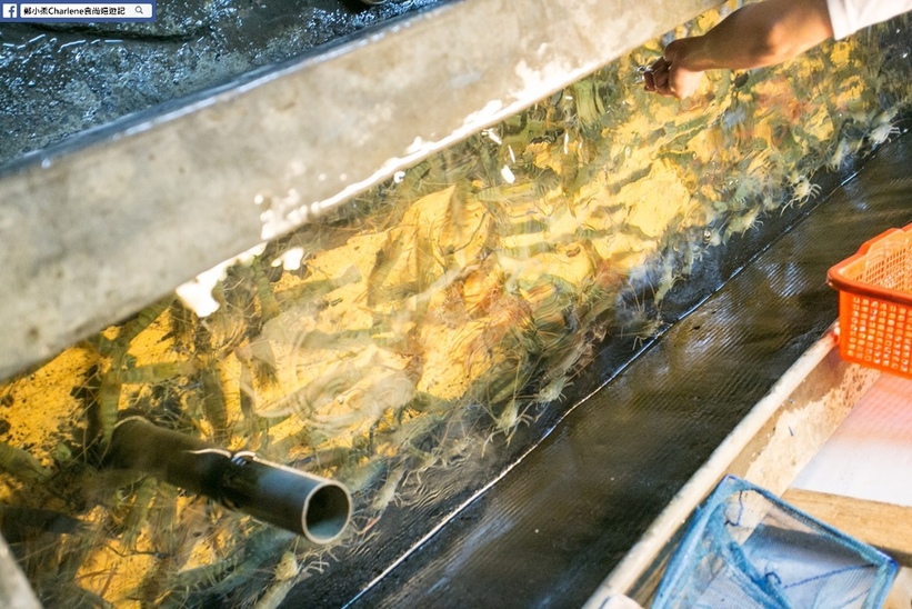 54437-1490604396-1410045117_l_thumb.jpg?v=1490605173