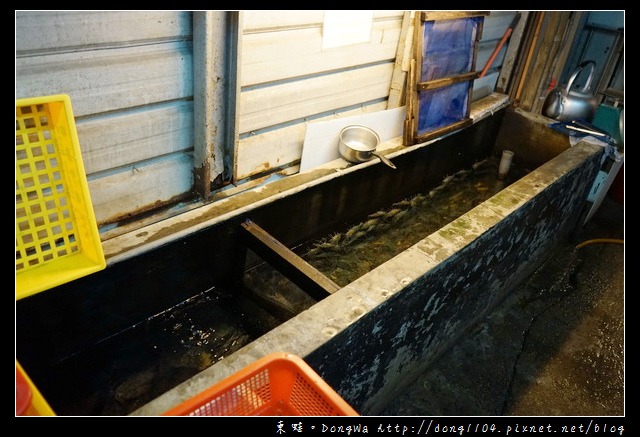 【桃園食記】桃園市活蝦料理海鮮餐廳|每日屏東直送活體泰國蝦|活跳跳活蝦餐廳