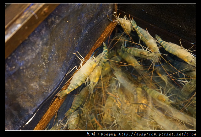 【桃園食記】桃園市活蝦料理海鮮餐廳|每日屏東直送活體泰國蝦|活跳跳活蝦餐廳