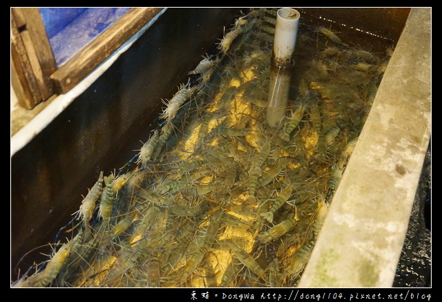 【桃園食記】桃園市活蝦料理海鮮餐廳|每日屏東直送活體泰國蝦|活跳跳活蝦餐廳