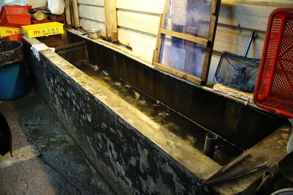 1060401-活跳跳活蝦-35