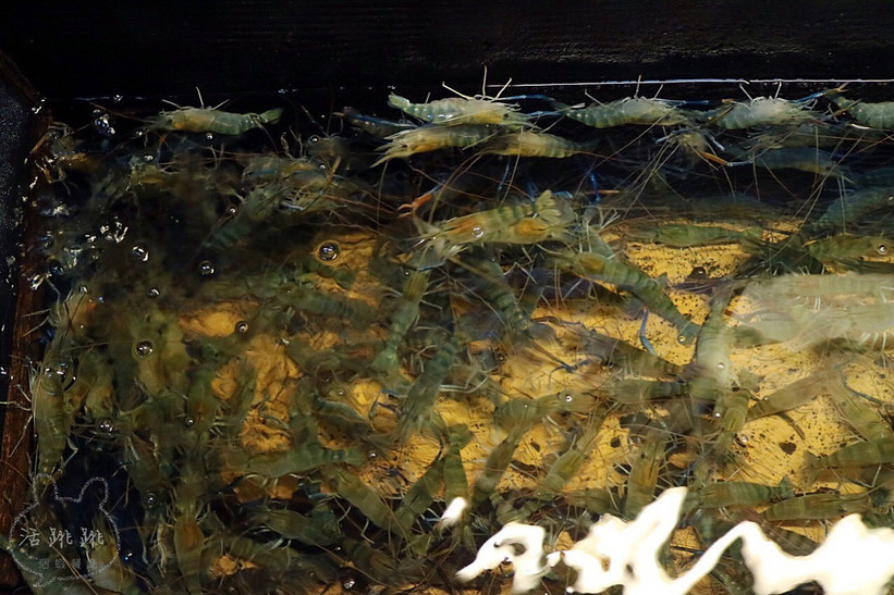 20170415_170415_0056