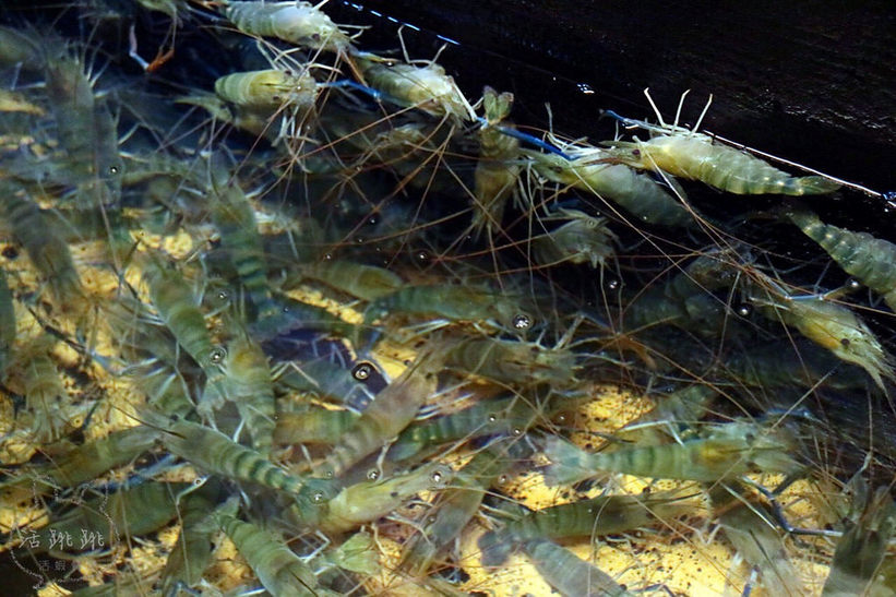 20170415_170415_0059