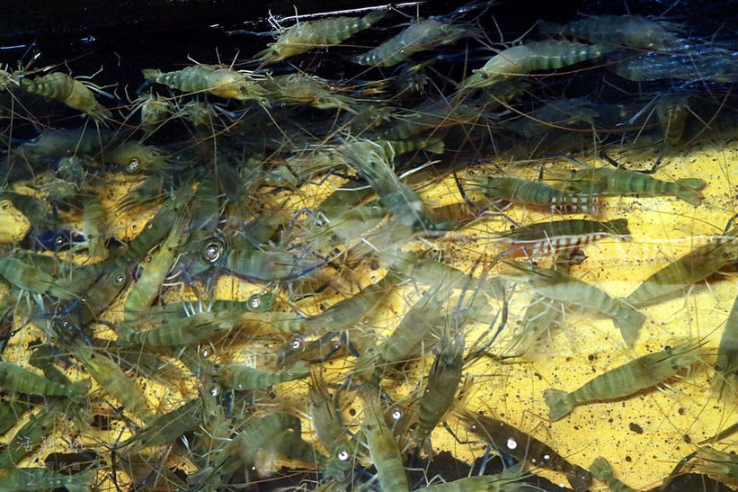 20170415_170415_0061