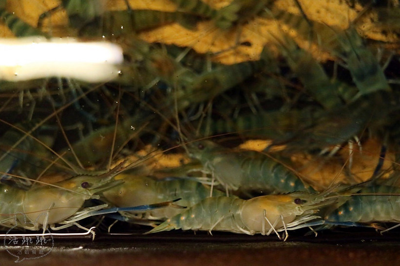 20170415_170415_0058