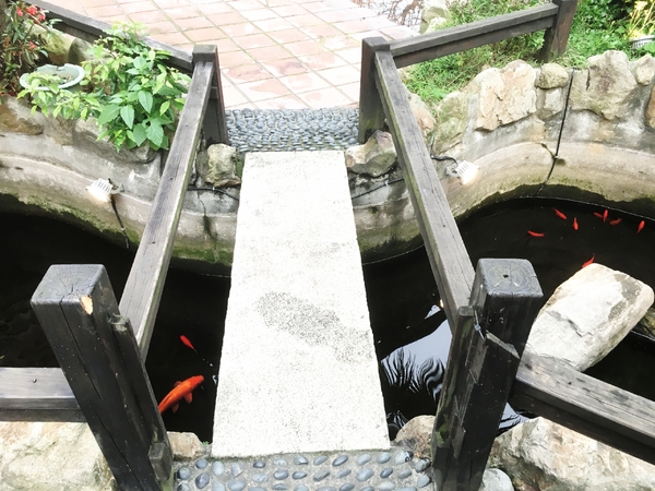 活跳跳活蝦餐廳：【桃園市】活跳跳活蝦餐廳 / 桃園市 / 活蝦料理 / 海鮮餐廳 內附小孩遊樂區、飛鏢機、停車場