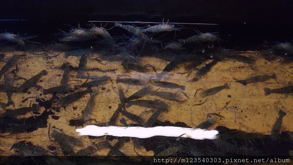 P_20170401_174207_vHDR_Auto