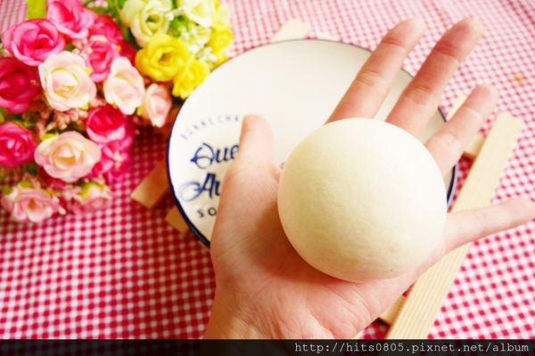 P1070136 (1024x683) (2).jpg