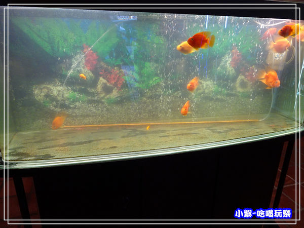 活跳跳活蝦 (10)21.jpg