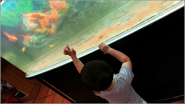 活跳跳活蝦餐廳  (77).jpg