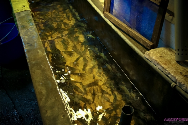 cm20170321___1aa9c3f88a68cb15cd78af4eba8