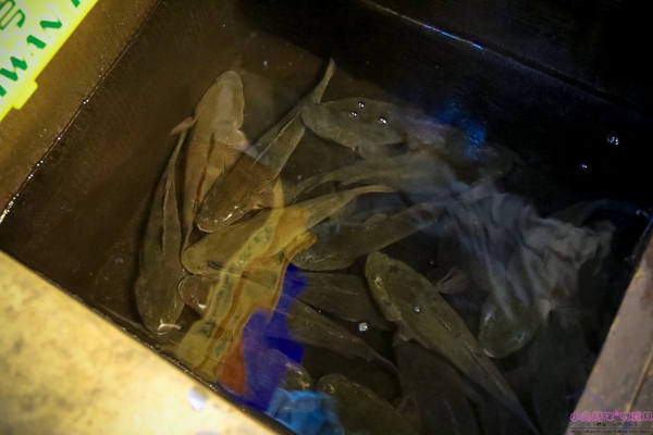 cm20170321___f2d1272443e921f45e7c5435b35