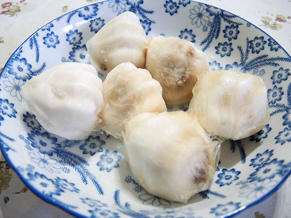 55079-1490788995-1091907048_n.jpg?v=1490788996