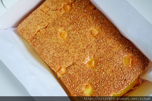 P1090719 (1024x683).jpg