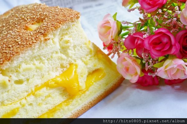 P1090726 (1024x683).jpg