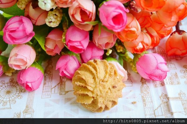 P1080248 (1024x683).jpg