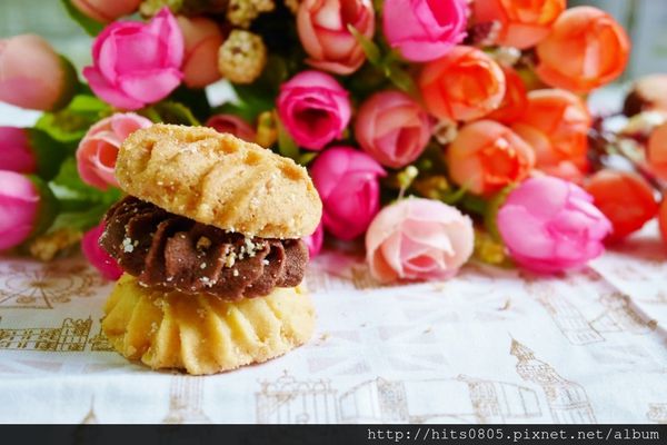 P1080253 (1024x683).jpg