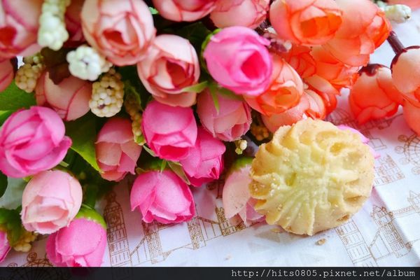 P1080245 (1024x683).jpg