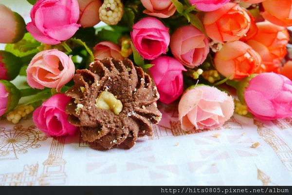 P1080247 (1024x683).jpg