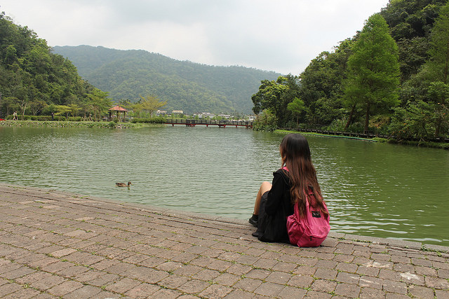 34119733305_8416f4a6da_z