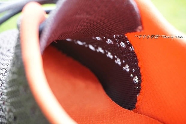 57486-1493889182-2819264139.jpg?v=1493891574