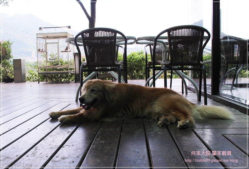 57752-1495698307-3003262904.jpg?v=1495698308