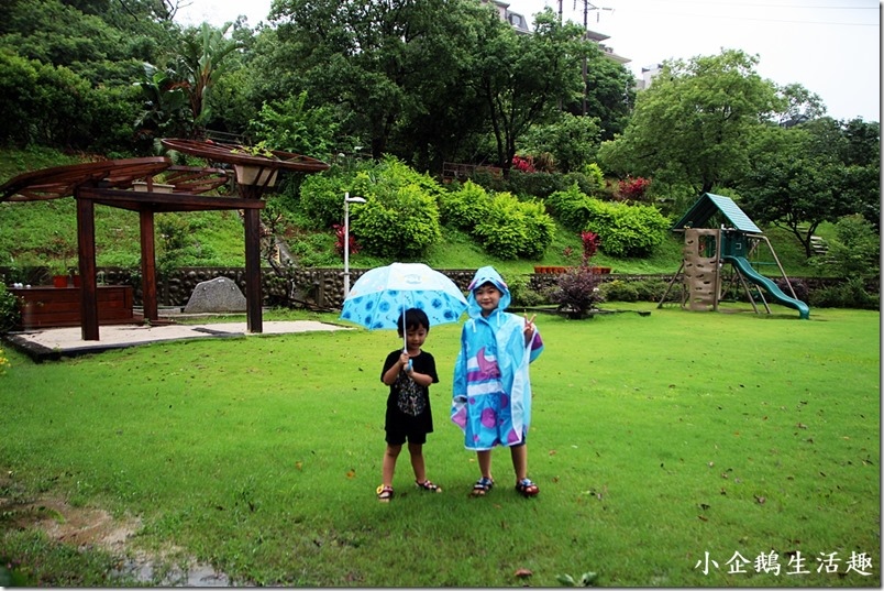 1499437264-600604708.jpg?v=1499437265