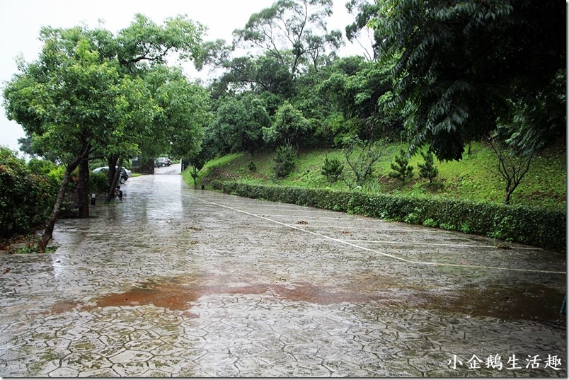 1499436387-2614004004.jpg?v=1499436388