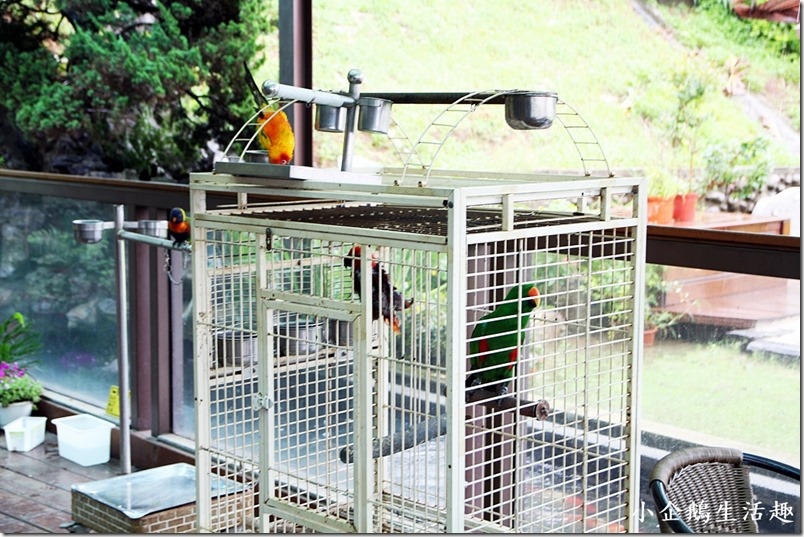 1499437293-1424001972.jpg?v=1499437295