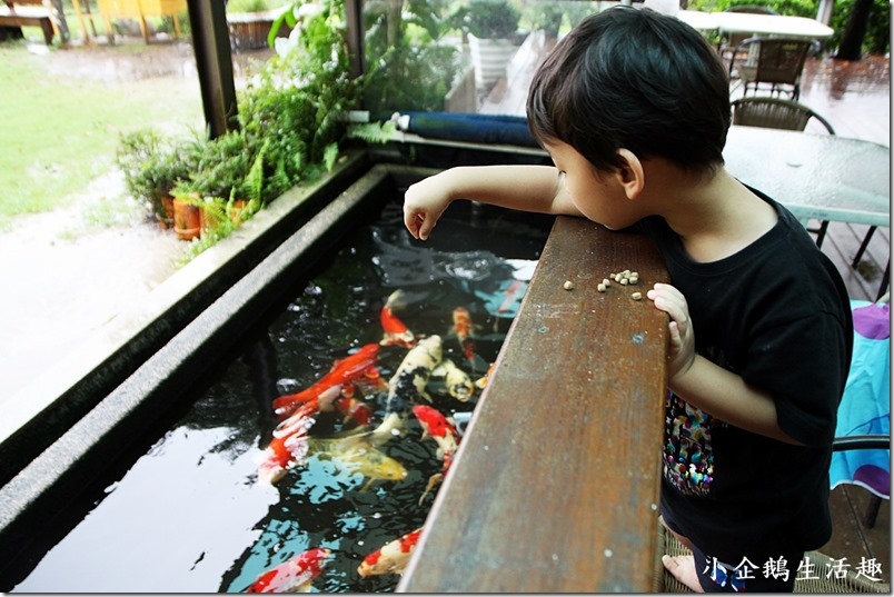 1499437221-1153037054.jpg?v=1499437222