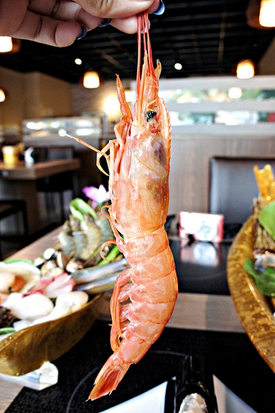 cm20170425___70ff2a25f740e9e5e47bd8d73c6