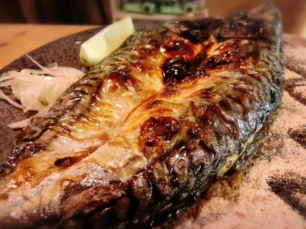 大樂串燒：【新北@中和】南勢角捷運站周邊美食 大樂串燒 / 中和居酒屋 / 捷運南勢角 / 寵物友善餐廳