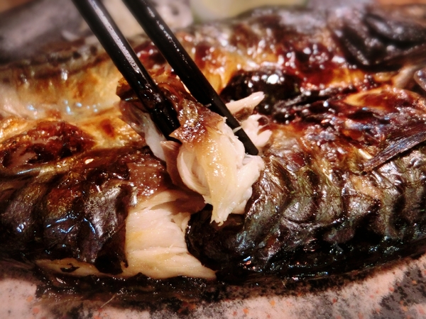 大樂串燒：【新北@中和】南勢角捷運站周邊美食 大樂串燒 / 中和居酒屋 / 捷運南勢角 / 寵物友善餐廳