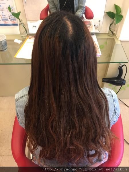 58835-1495125581-3597445986_n.jpg?v=1495125588