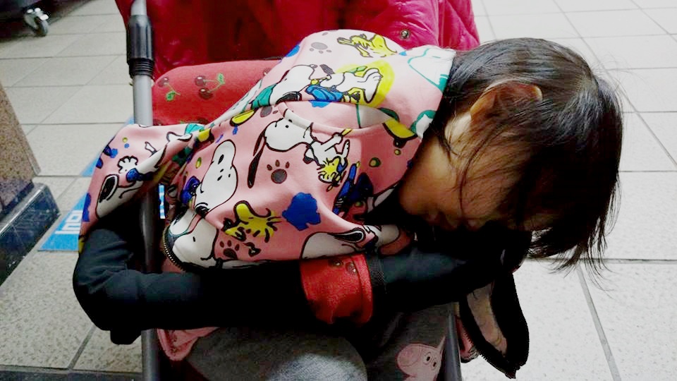 18403267_1648157541865287_7713195988344571719_n