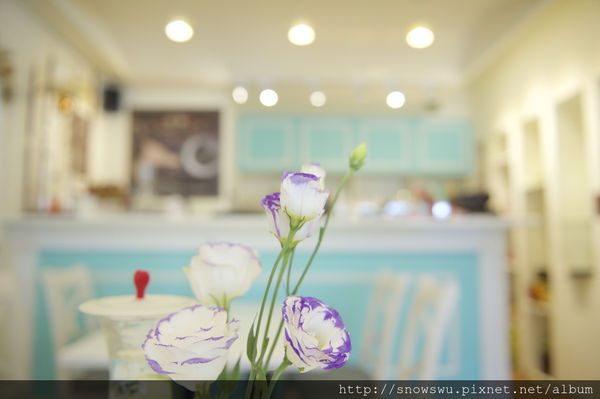 Oyami cafe(板橋店)：Oyami 板橋新埔店