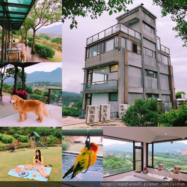 1496074875-2665169270_n.jpg?v=1496074878