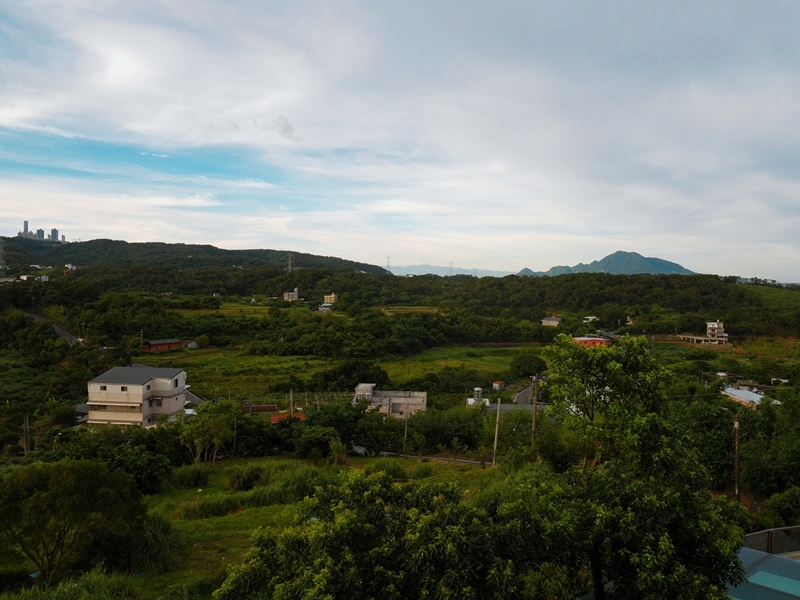 1498490613-2564174339.jpg?v=1498490614