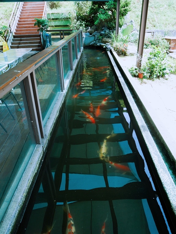 1498490571-2410259331.jpg?v=1498490572