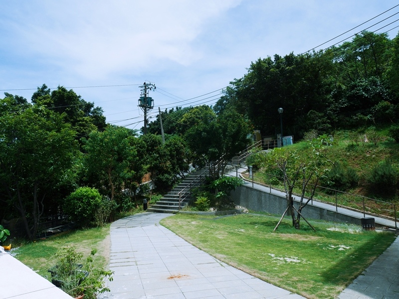 1498490560-3377205490.jpg?v=1498490561