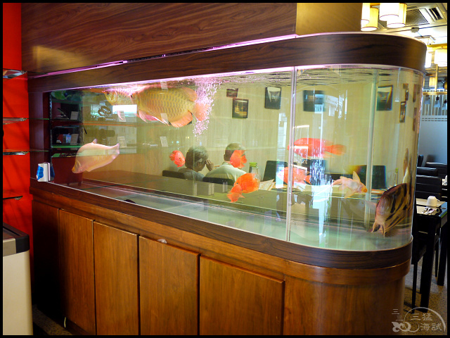 1498556774-968185122.jpg?v=1498556824