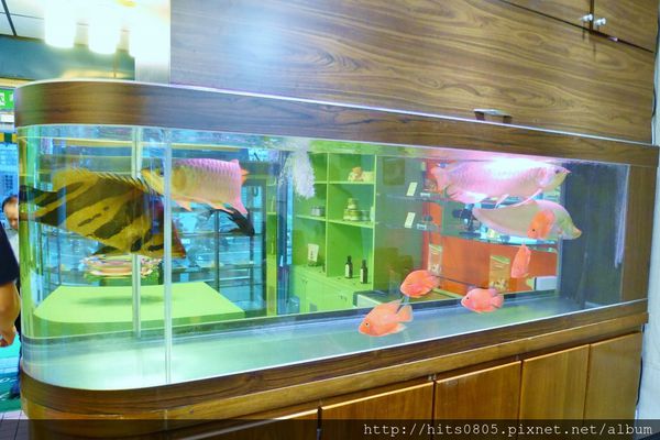 P1130812 (1280x854).jpg